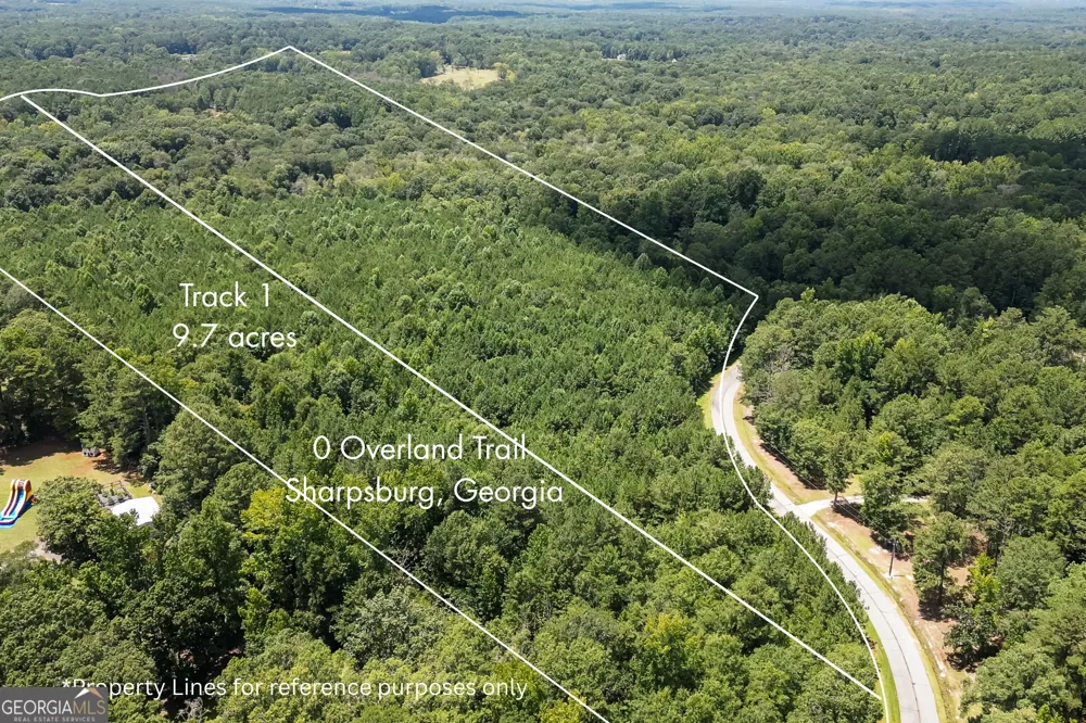 0 Overland TRL Sharpsburg, GA 30277