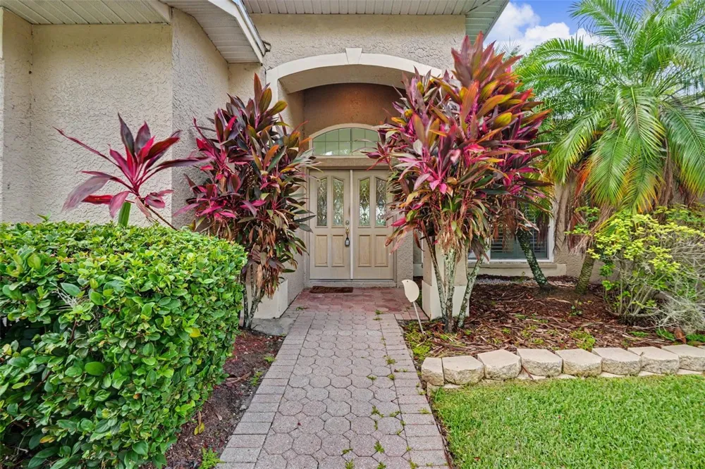 12507 ROYAL DUBLIN AVENUE Odessa, FL 33556
