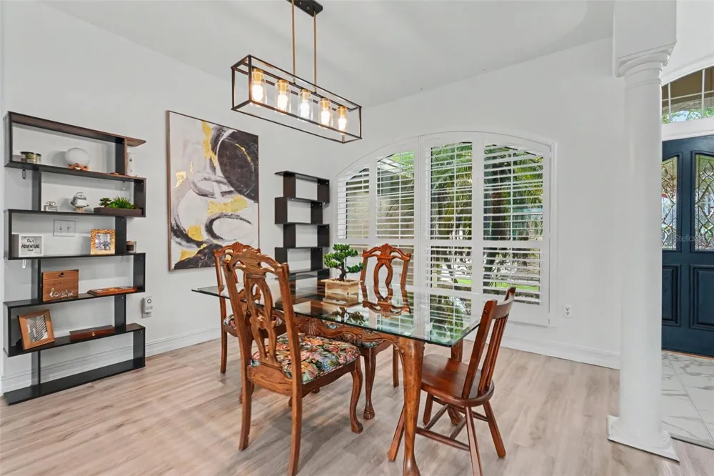 12507 ROYAL DUBLIN AVENUE Odessa, FL 33556