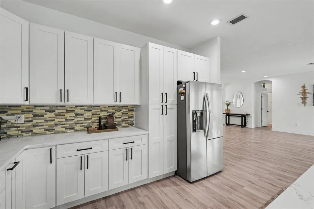 12507 ROYAL DUBLIN AVENUE Odessa, FL 33556