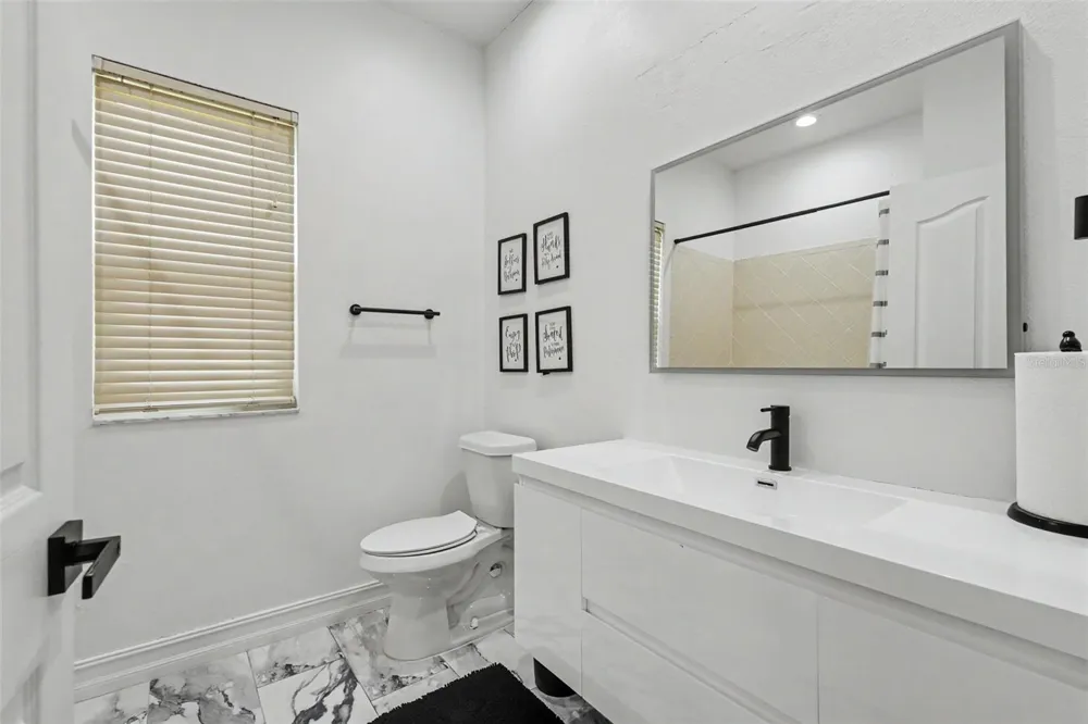 12507 ROYAL DUBLIN AVENUE Odessa, FL 33556