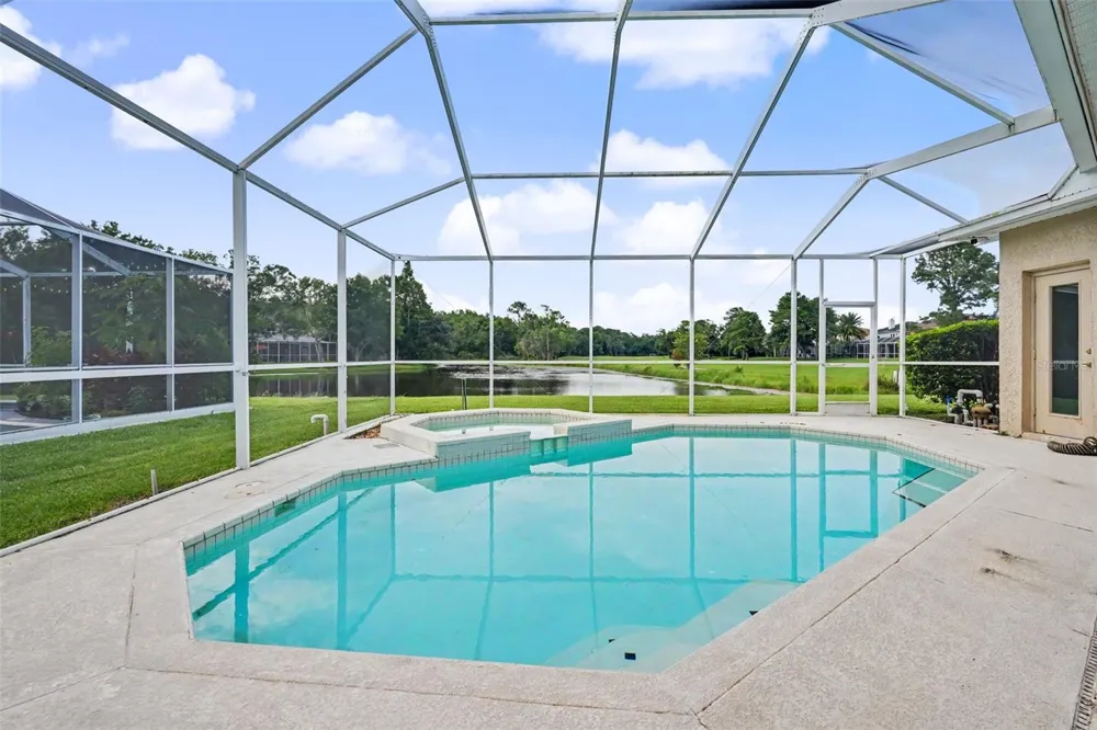12507 ROYAL DUBLIN AVENUE Odessa, FL 33556