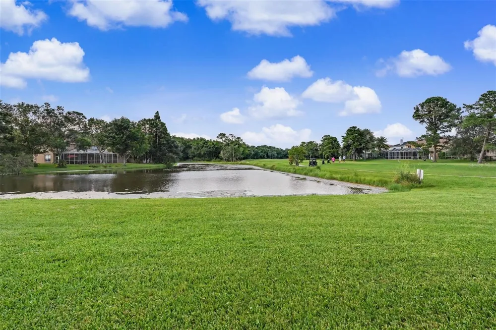 12507 ROYAL DUBLIN AVENUE Odessa, FL 33556