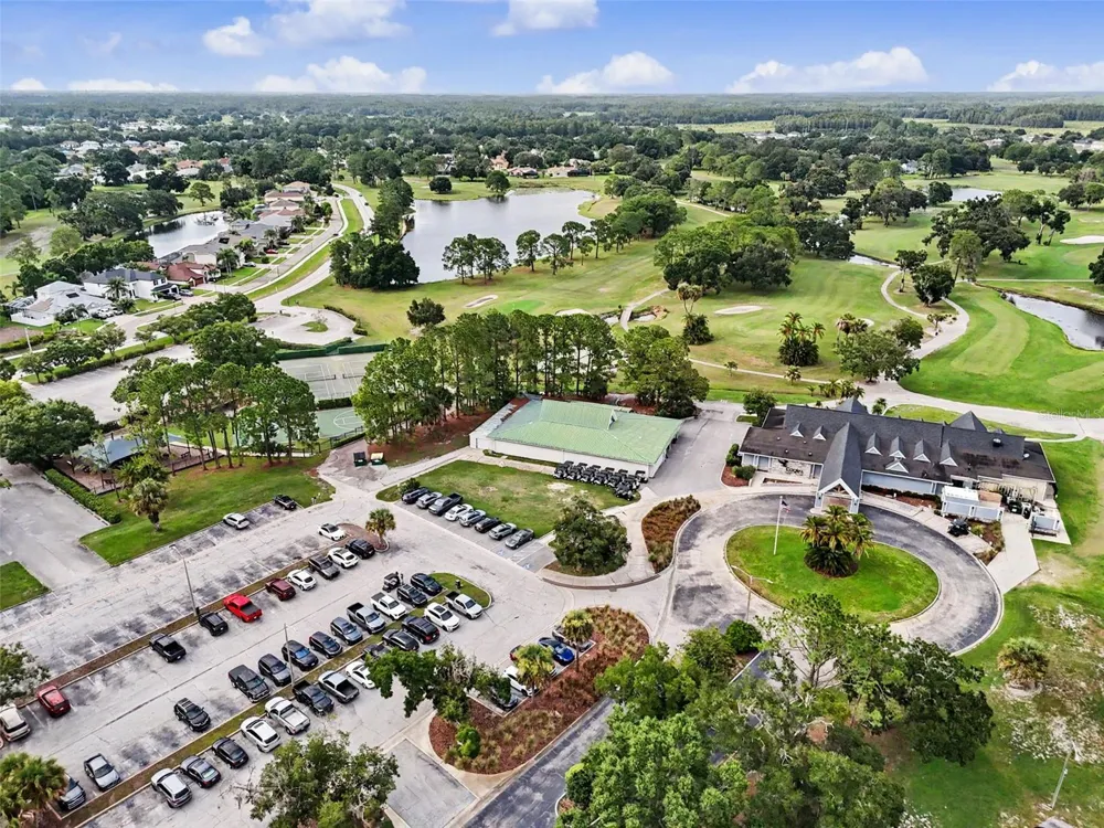 12507 ROYAL DUBLIN AVENUE Odessa, FL 33556