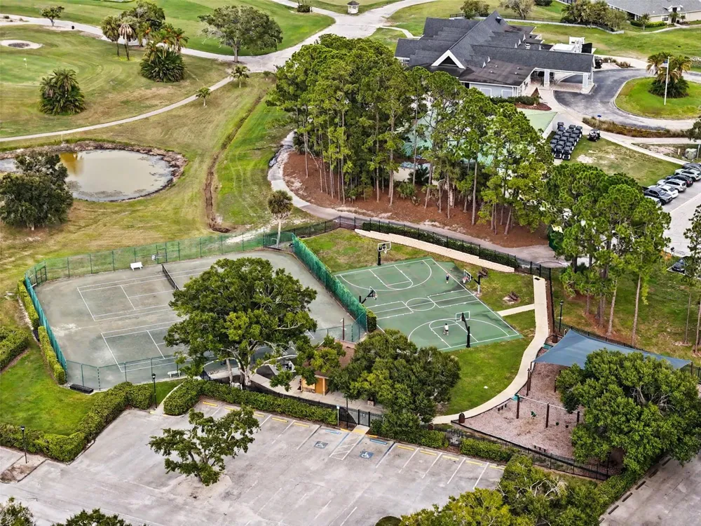 12507 ROYAL DUBLIN AVENUE Odessa, FL 33556