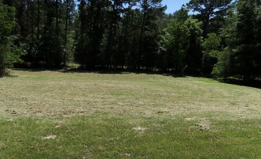 64 Westwood Drive E Trinity, TX 75862