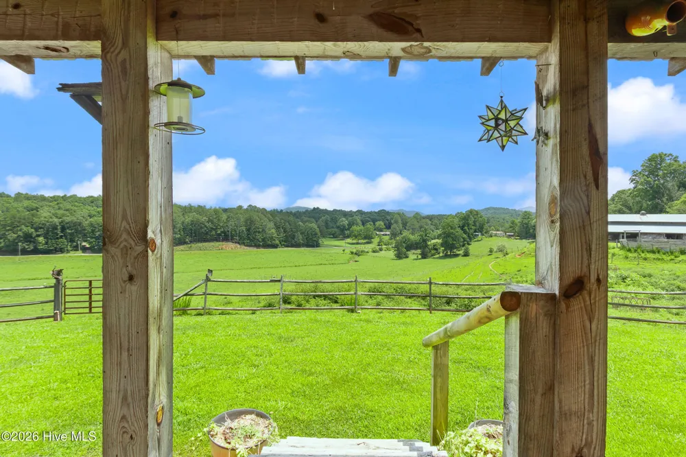 102 Cross Creek Lane Warne, NC 28909