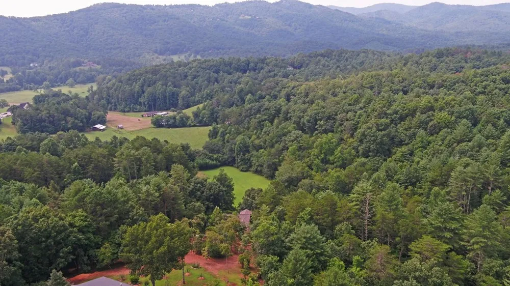 475 Rivercane Road Brasstown, NC 28902