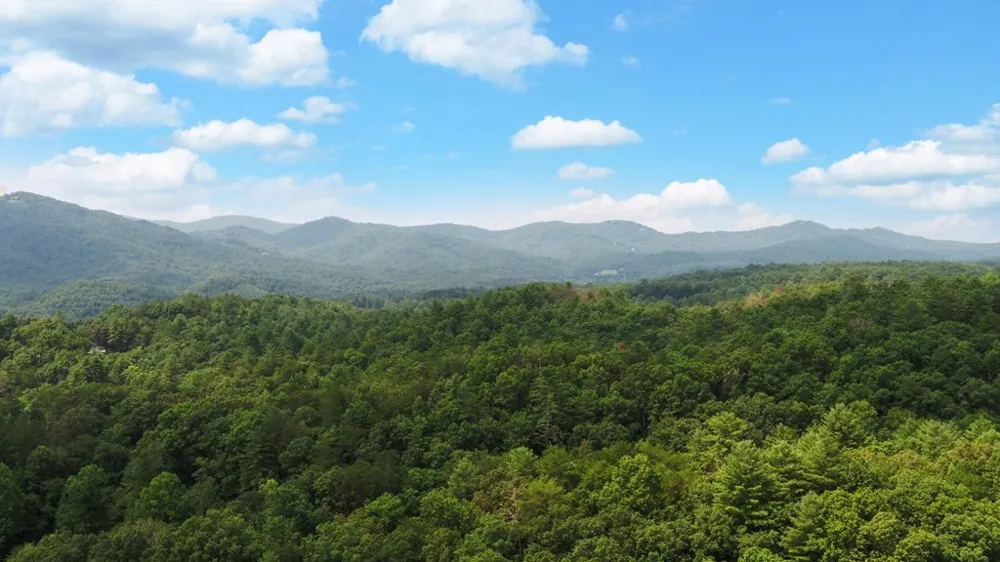 475 Rivercane Road Brasstown, NC 28902