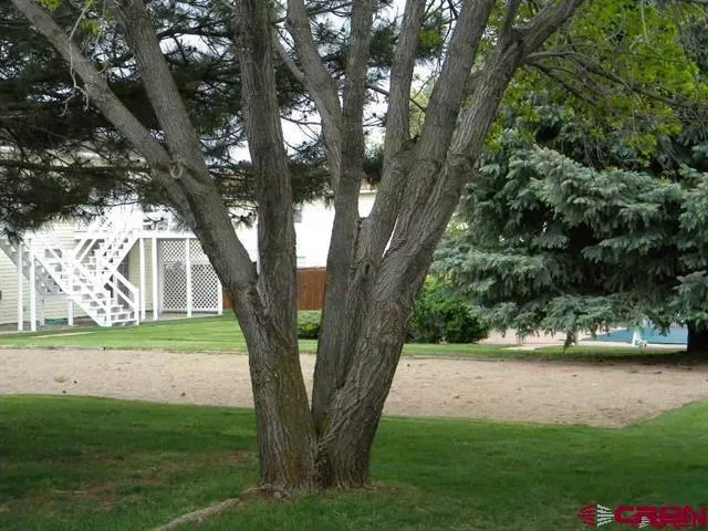 410 W 6th Street #3 Cortez, CO 81321