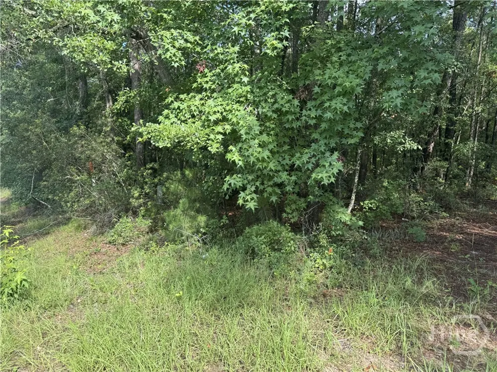68 Johnson Road Richmond Hill, GA 31324