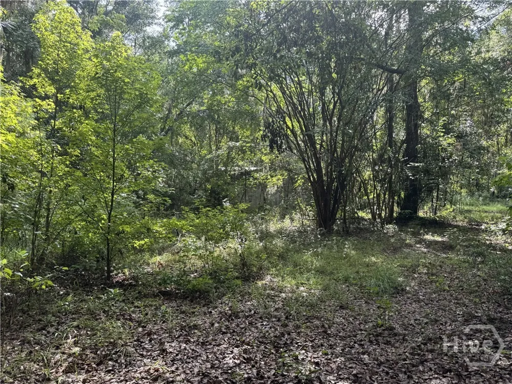 68 Johnson Road Richmond Hill, GA 31324