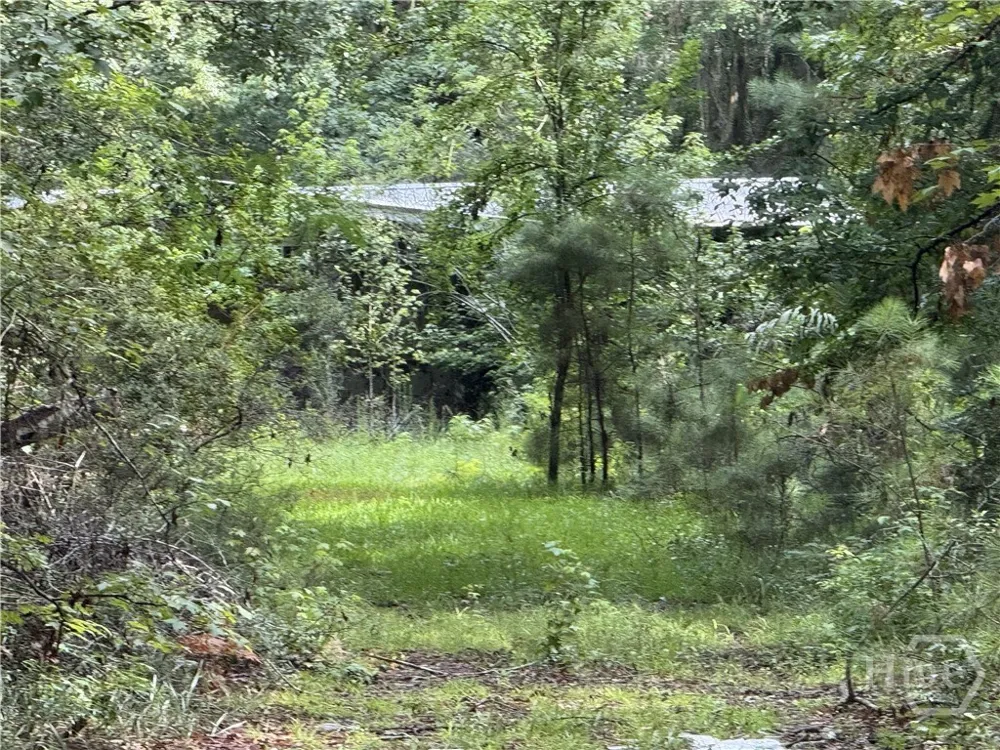 68 Johnson Road Richmond Hill, GA 31324