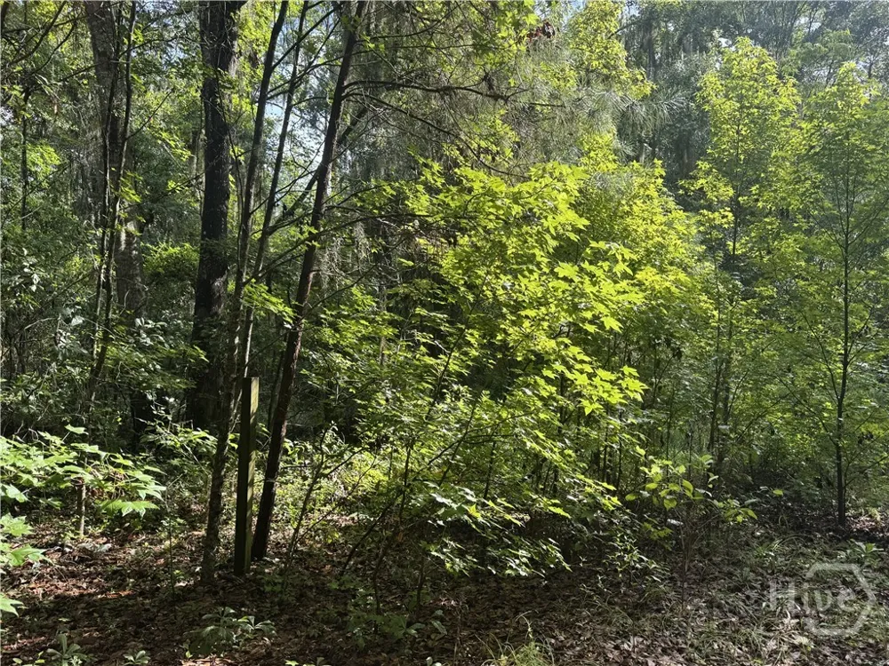 68 Johnson Road Richmond Hill, GA 31324