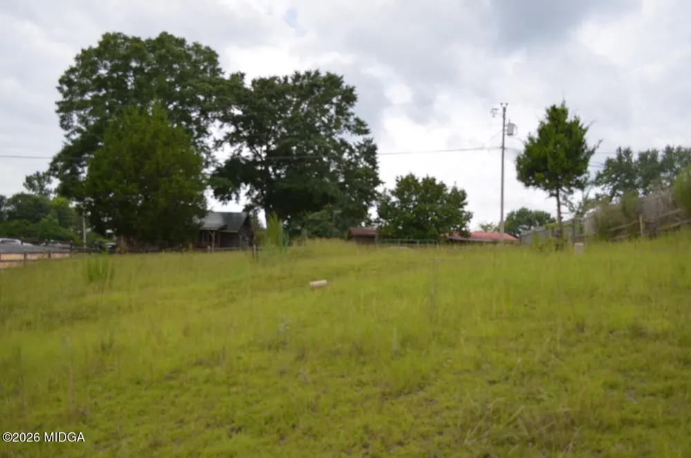 145 Lakeview Drive S Ivey, GA 31031
