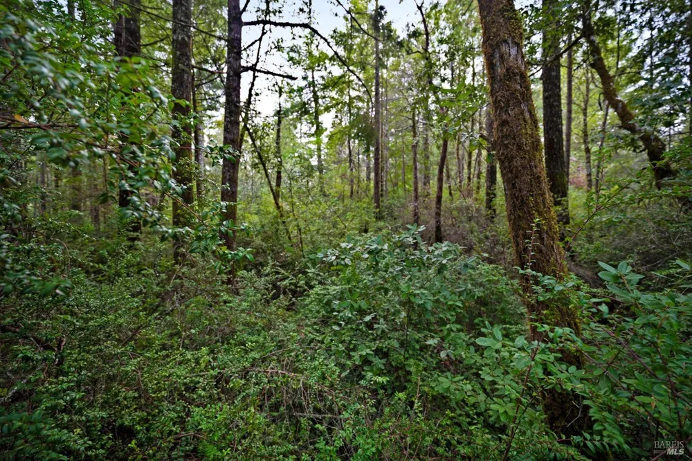 33538 Iversen Road Gualala, CA 95445