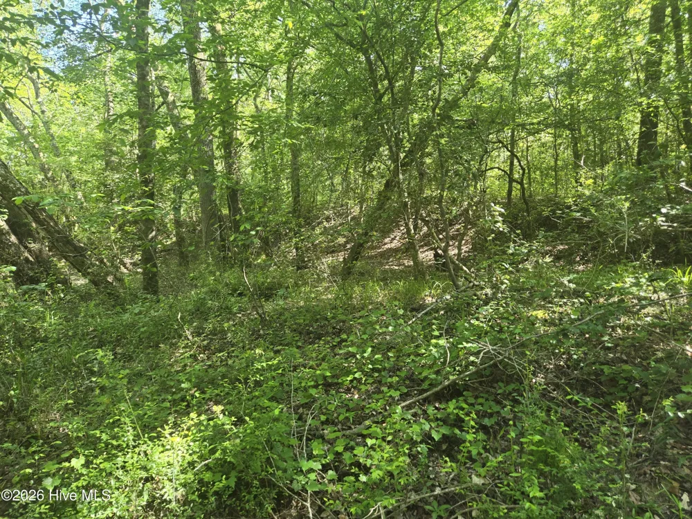 234 Circle Drive Vass, NC 28394