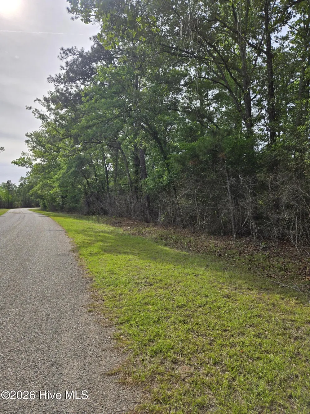 234 Circle Drive Vass, NC 28394