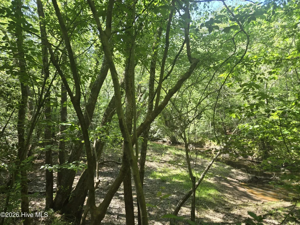 234 Circle Drive Vass, NC 28394
