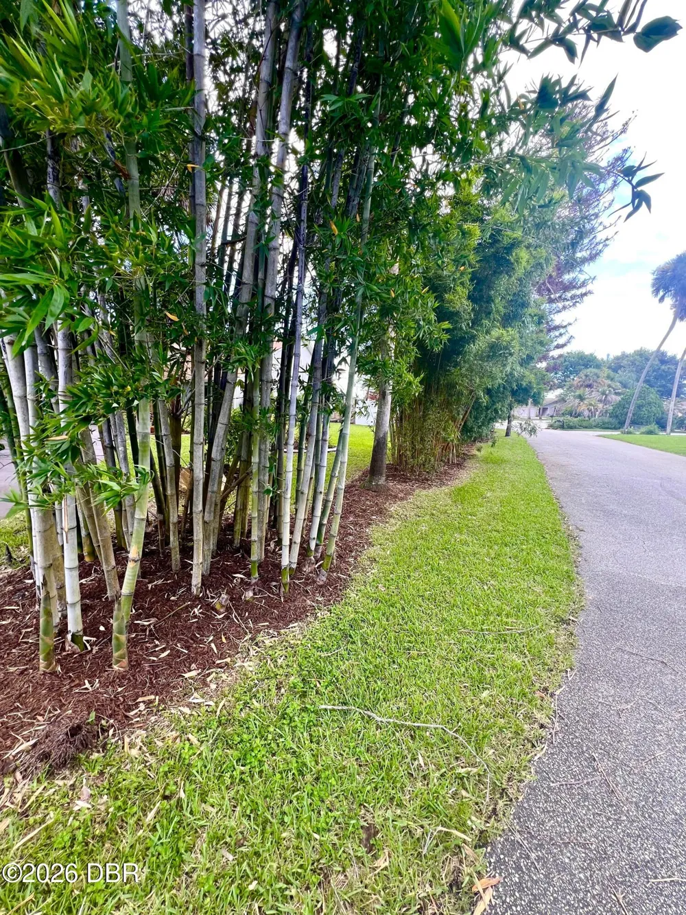 1 Harris Circle Edgewater, FL 32141