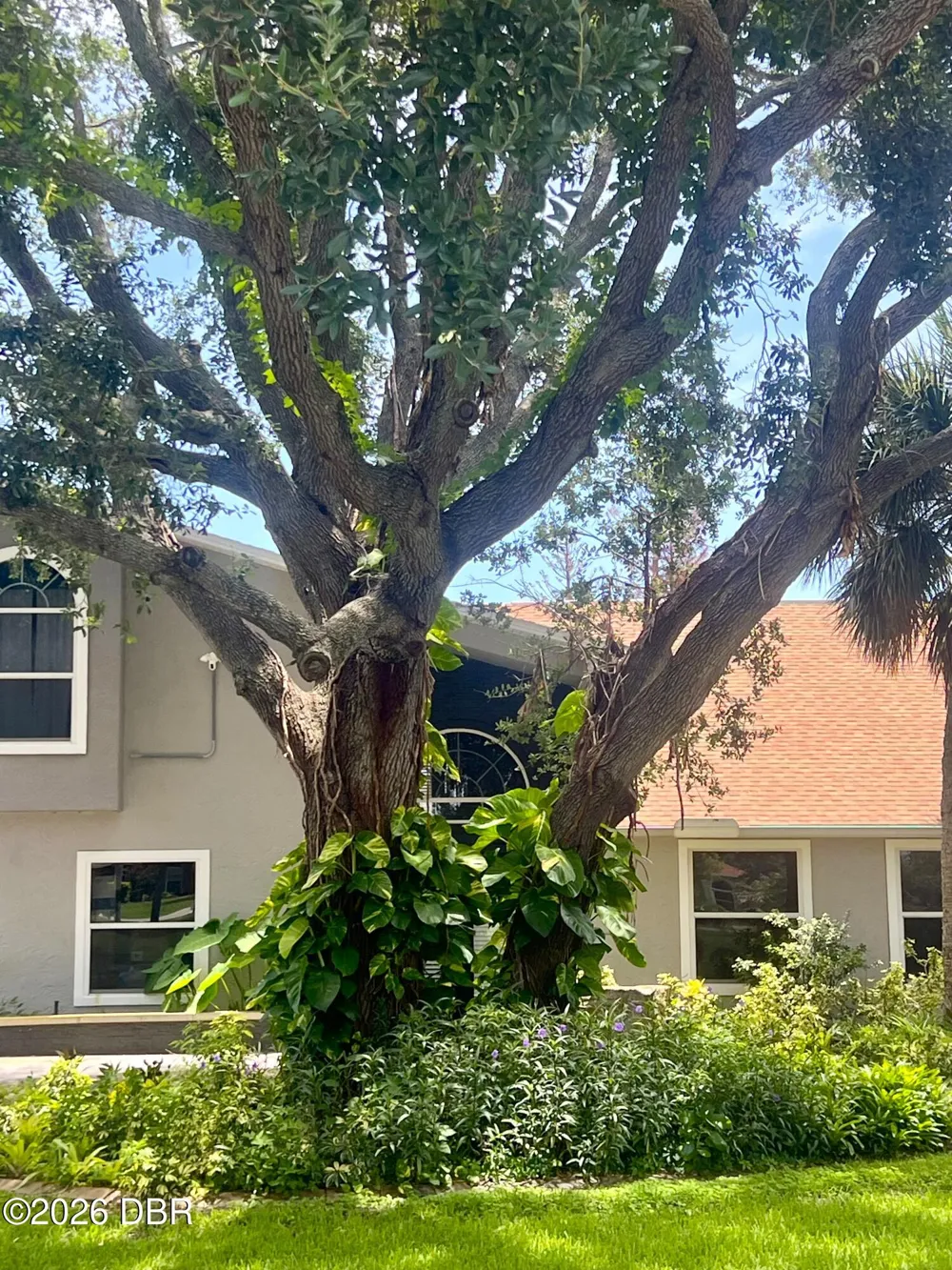 1 Harris Circle Edgewater, FL 32141