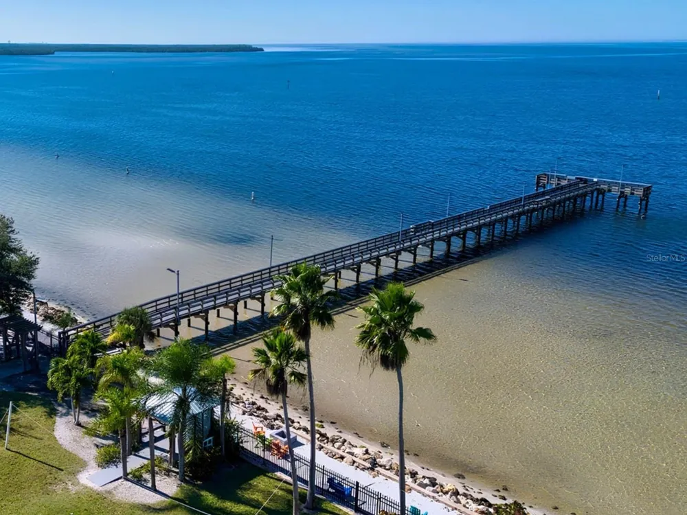 3248 MANGROVE POINT DRIVE Ruskin, FL 33570