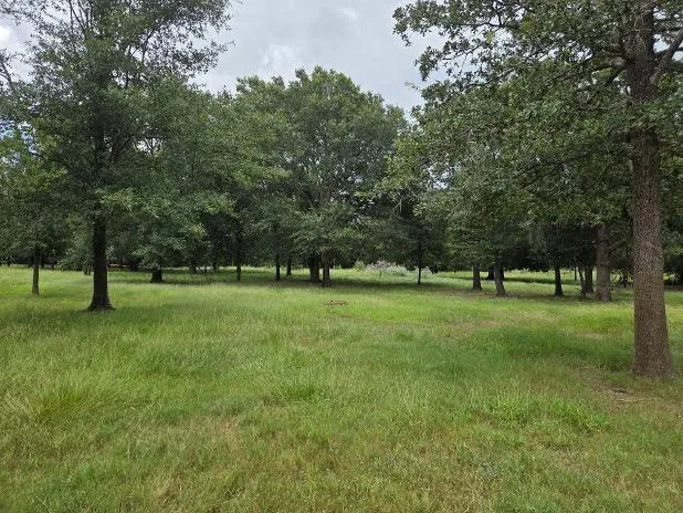 7039 Cotton Street Bedias, TX 77831