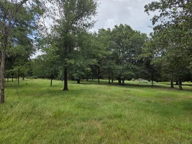 7039 Cotton Street Bedias, TX 77831