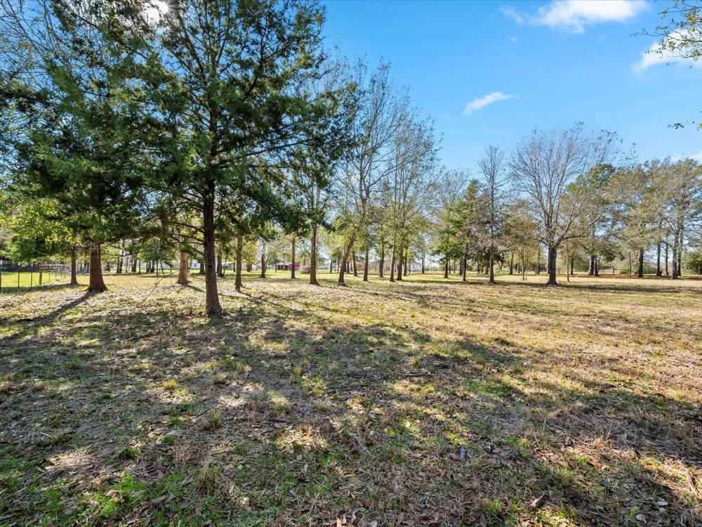 7039 Cotton Street Bedias, TX 77831