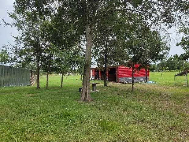 7039 Cotton Street Bedias, TX 77831