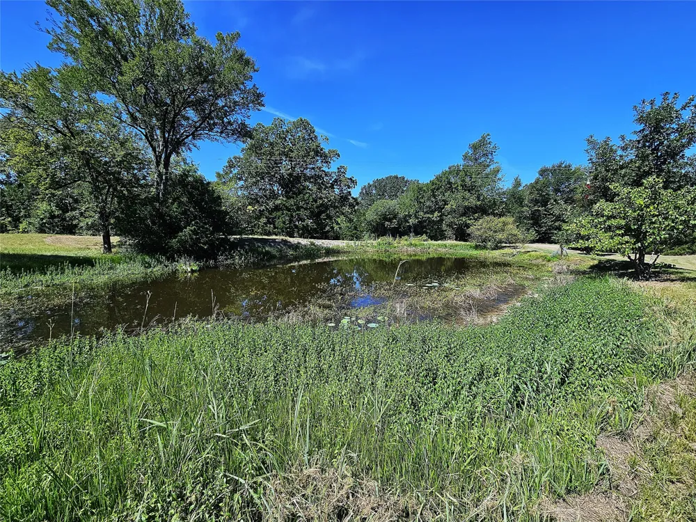 1105 Fm 39 S Donie, TX 75838