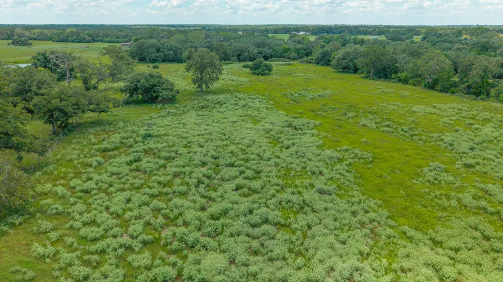 1130 County Road 1g Hallettsville, TX 77964