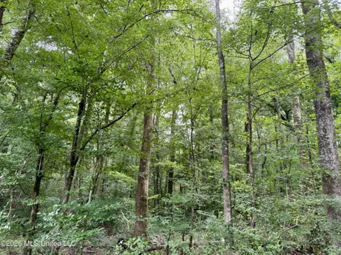 2194 Mississippi 570