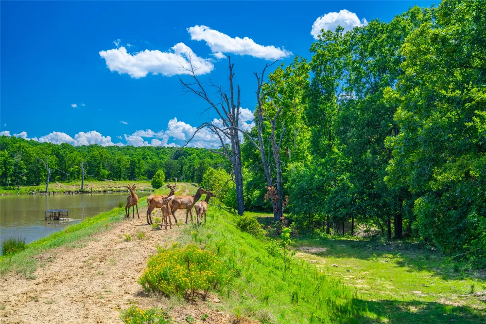 2502 386 ROAD Wetumka, OK 74883