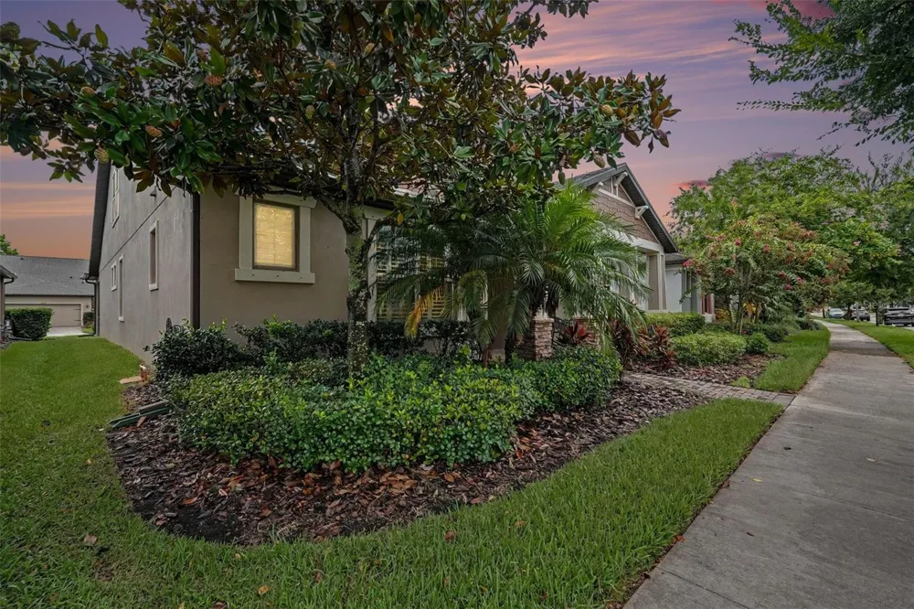 12890 PAYTON STREET Odessa, FL 33556