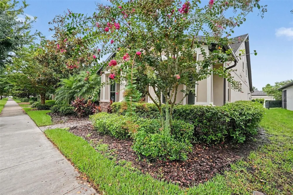 12890 PAYTON STREET Odessa, FL 33556