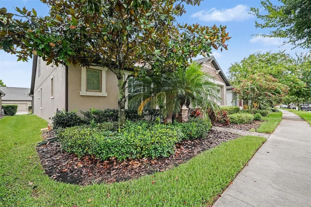 12890 PAYTON STREET Odessa, FL 33556