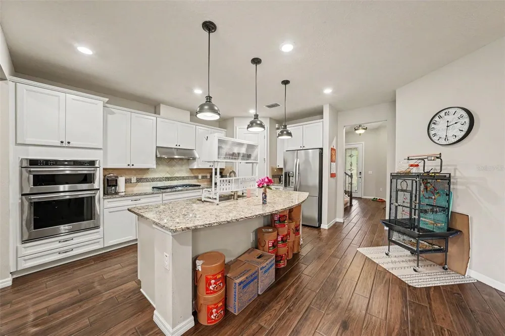 12890 PAYTON STREET Odessa, FL 33556