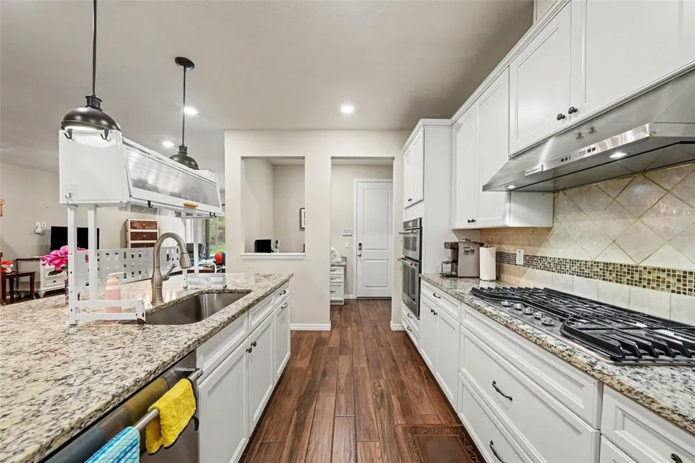 12890 PAYTON STREET Odessa, FL 33556