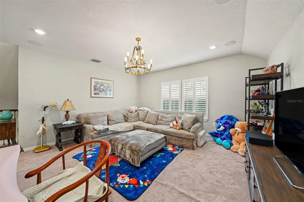 12890 PAYTON STREET Odessa, FL 33556