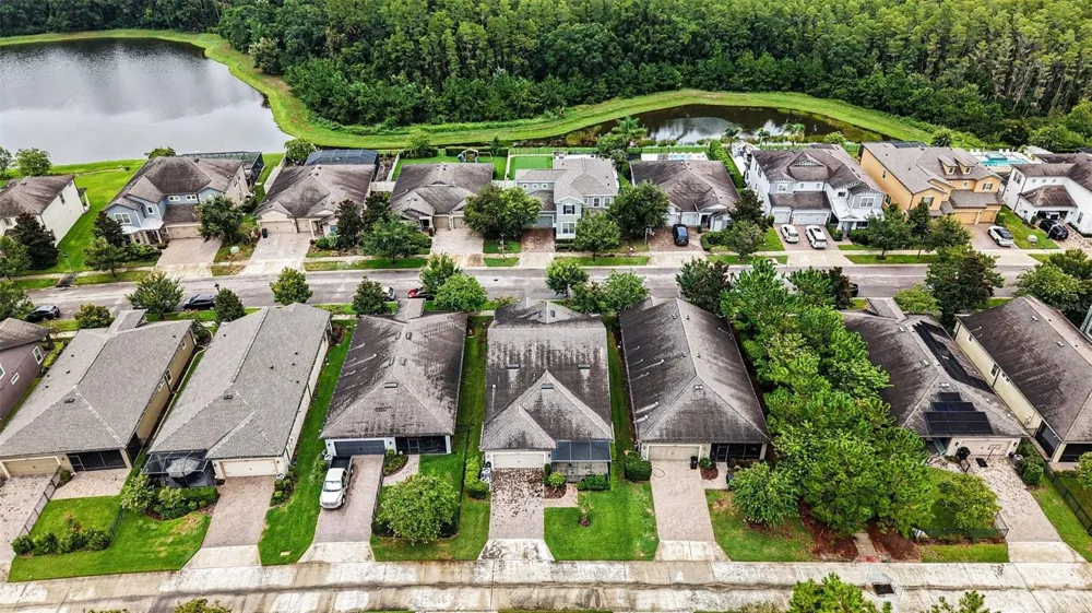 12890 PAYTON STREET Odessa, FL 33556