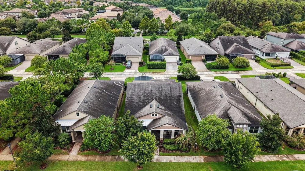 12890 PAYTON STREET Odessa, FL 33556