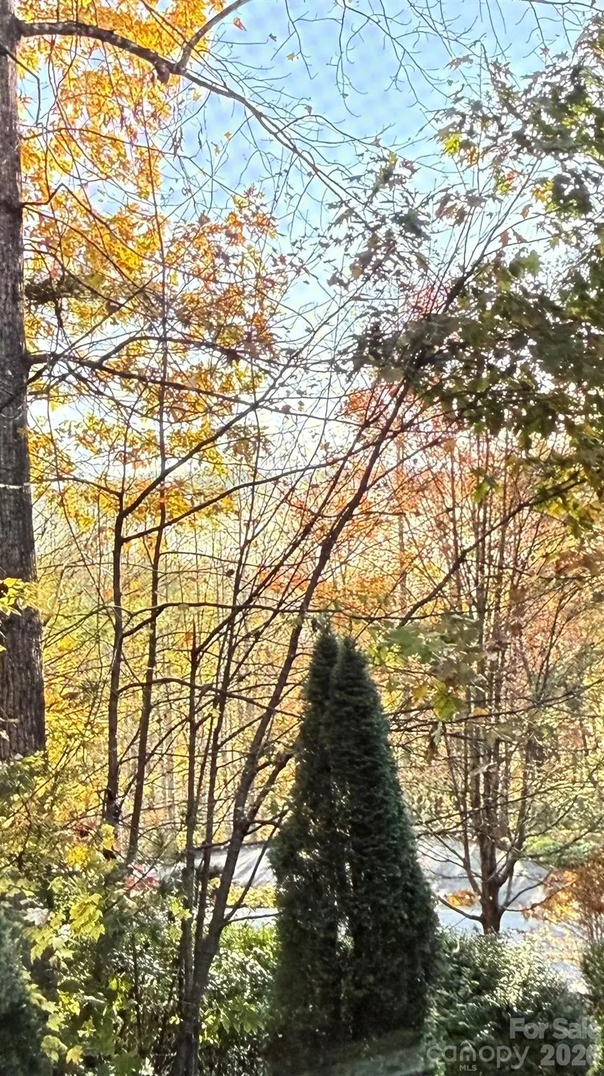 168 Chattooga Run Hendersonville, NC 28739