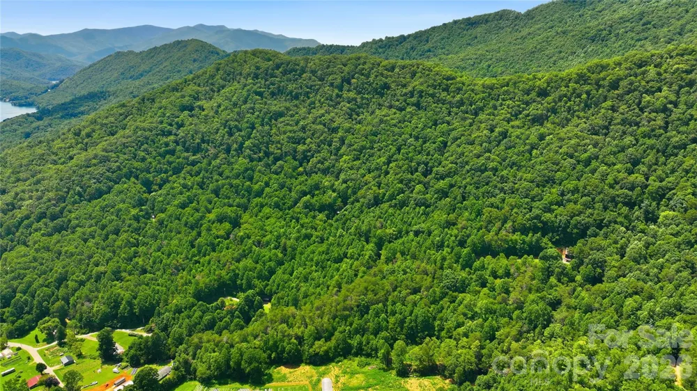 00 E Buffalo Road #13 Robbinsville, NC 28771
