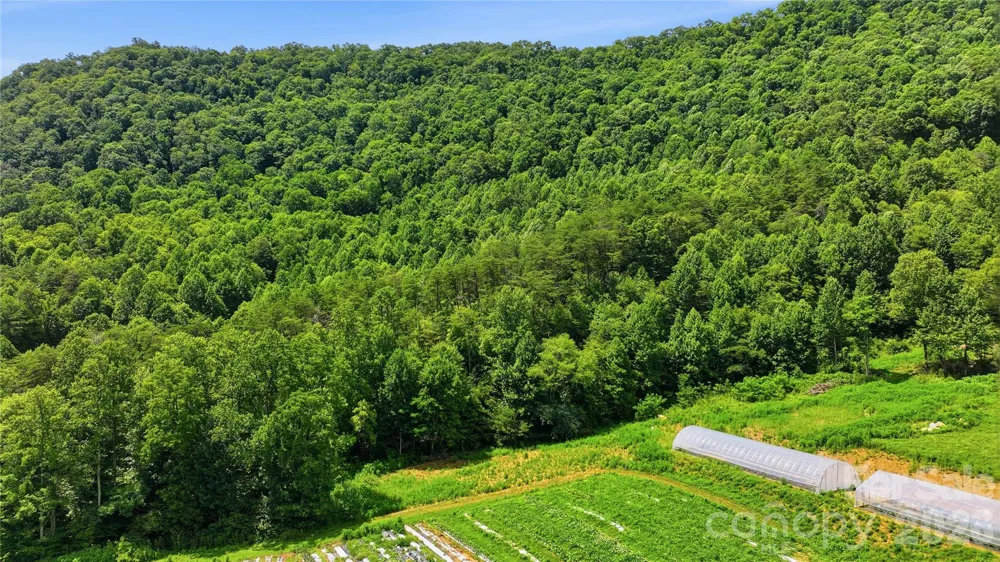 00 E Buffalo Road #13 Robbinsville, NC 28771