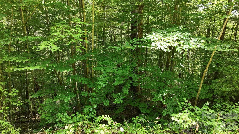 00 E Buffalo Road #13 Robbinsville, NC 28771