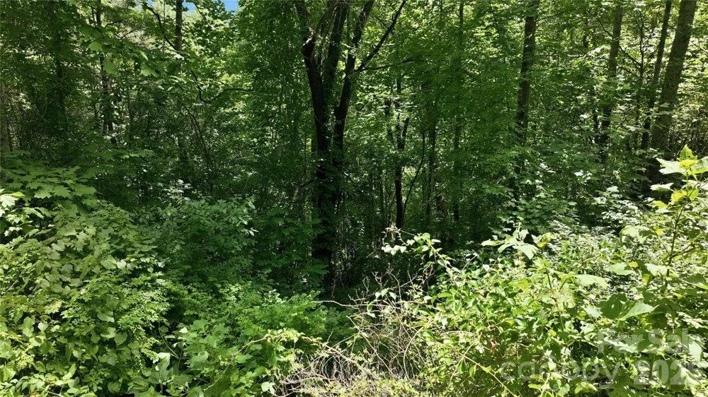 00 E Buffalo Road #13 Robbinsville, NC 28771