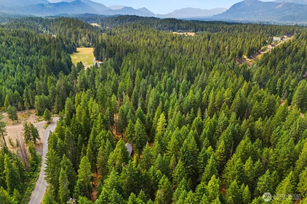 361 Stone Ridge Drive Cle Elum, WA 98922