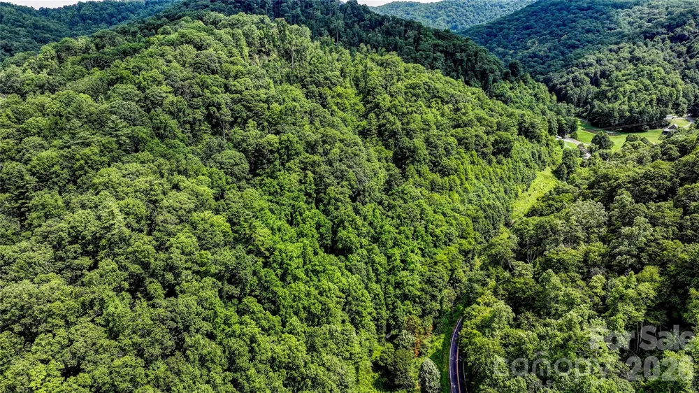 1213 Roaring Fork Road Mars Hill, NC 28754