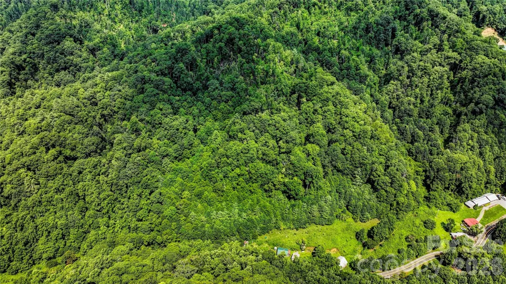 1213 Roaring Fork Road Mars Hill, NC 28754